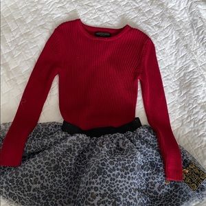 Beautiful Shirt and Tutu Skirt